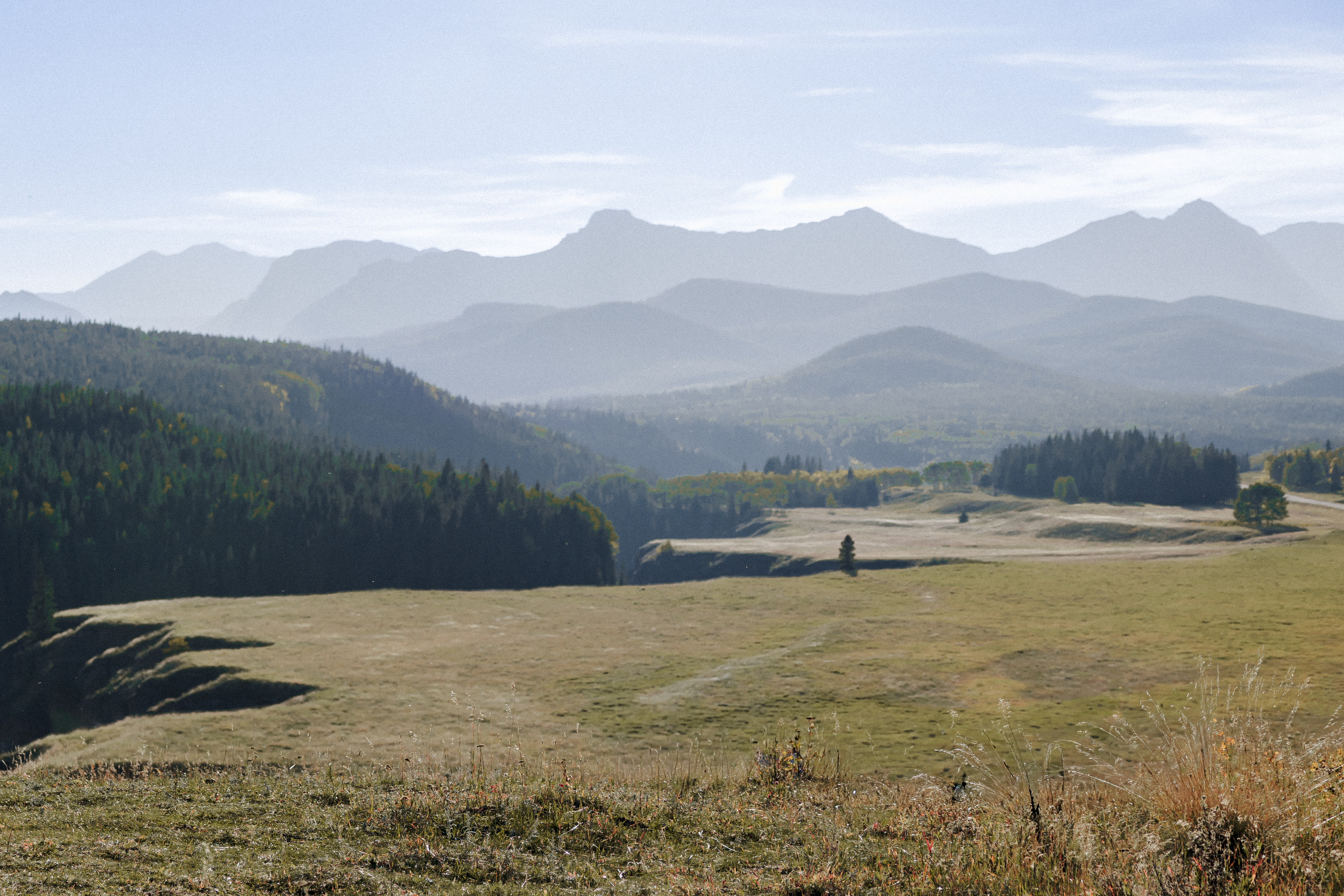 Mountain ranges above a forested valley and an open meadow. Photograph by Galyna Gaponiuk.